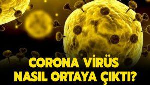 koronavirüs nasıl ortaya çıktı