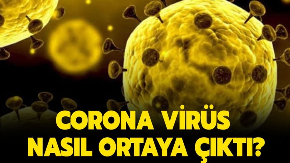 koronavirüs nasıl ortaya çıktı?